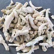 [PGF.VLLOC.00009] San Hô Vụn (1kg) Vật Liệu Lọc Nước