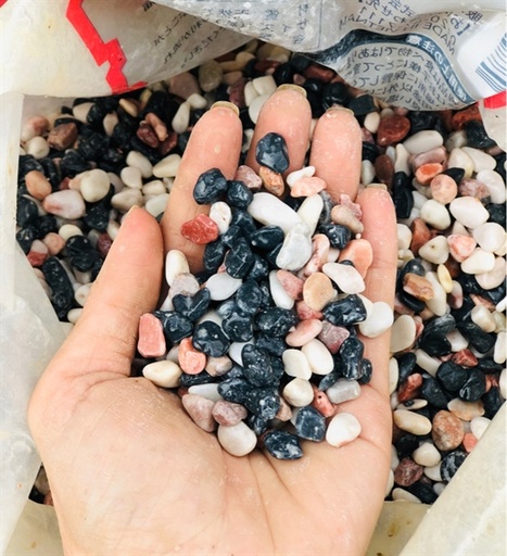 [PGF.TRATRI.00143] Sỏi 3 Màu Mix (10kg)