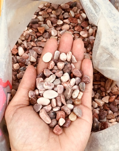 [PGF.TRATRI.00145] Sỏi Hồng (10kg)