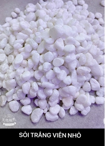 [PGF.TRATRI.00150] Sỏi Trắng (10kg)