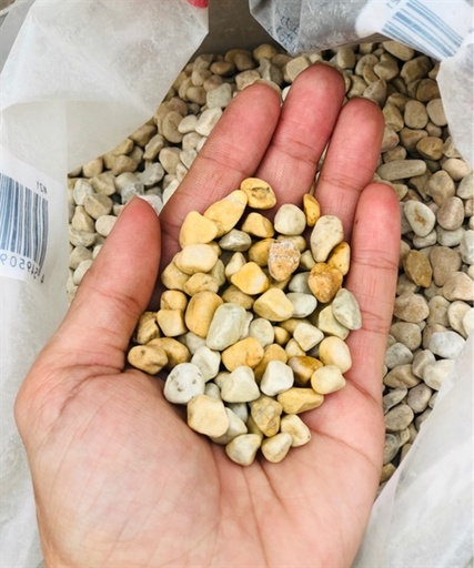 [PGF.TRATRI.00151] Sỏi Vàng (10kg)