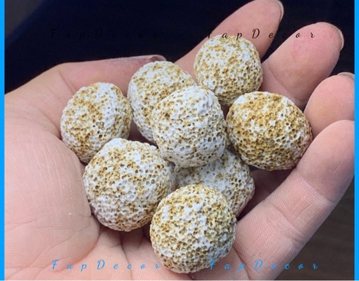 [PGF.VLLOC.00013] Sứ Bi Mè Viên (10kg) Vật Liệu Lọc Nước