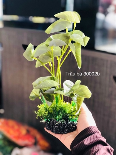 [PGF.TRATRI.00123] Trang Trí Rong Giả - Mã Trầu Bà 3000-370