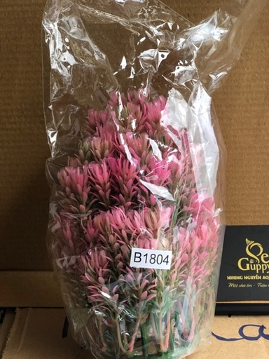 [PGF.TRATRI.00029] Cây Giả (Mã B18)