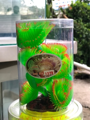 [PGF.TRATRI.00031] Cây Giả Hải Quỳ (Mã B Cao)