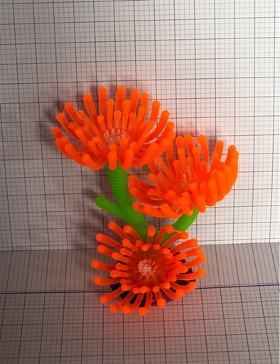 [TRATRI.00033] Cây Giả Hải Quỳ (Mã Đế Hồng)