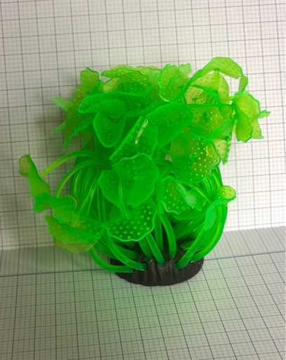 [TRATRI.00034] Cây Giả Hải Quỳ (Mã Đế Đen)