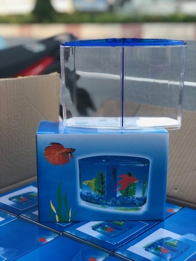 [PGF.HOKHA.00069] Hồ Cá Betta 2 ngăn + có nắp