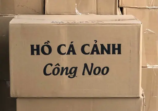 [PGF.HOKHA.00023] Hồ Cá Công Noo Nhỏ (Bộ 4 hồ)