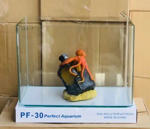 [HOKHA.00051.HD302020] Hồ Kính Đúc PF-30 30x20x20cm