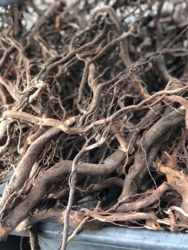 [TRATRI.00078] Lũa Rễ Dương Rừng (kg)