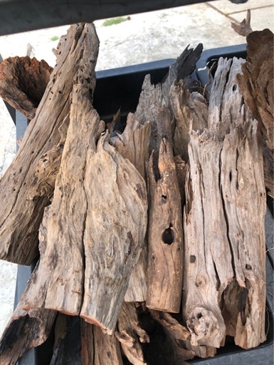 [TRATRI.00081] Lũa Săn Đá Ống (kg)