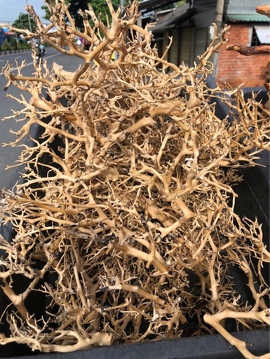 [TRATRI.00083] Lũa Xương Chùm (kg)