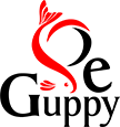 Pe Guppy Farm